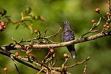 回合制战棋游戏《三国志HEROES》公布 将于明年推出